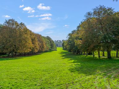 A large grassy field with rows of trees on both sides and a building in the distance at Seascape in Kingsand