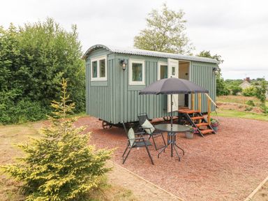 A small green wooden cabin on wheels with outdoor furniture and an umbrella at Cuckoo's Nest in South Molton