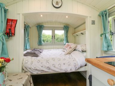 A small bedroom with a double bed surrounded by windows with blue curtains and a wooden countertop at Cuckoo's Nest in South Molton