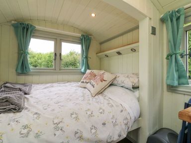 A small bedroom with a bed under a window with blue curtains at Cuckoo's Nest in South Molton