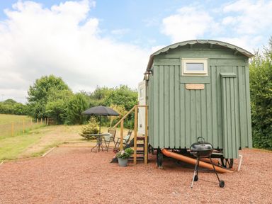 A green wooden shepherd hut with steps a black patio table with umbrella and chairs and a barbecue grill outside at Cuckoo's Nest in South Molton