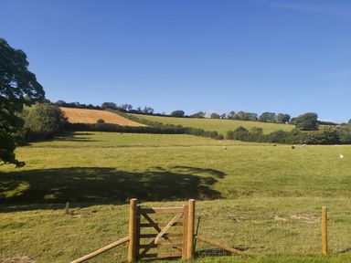 A gated entrance leading to green fields with grazing sheep and trees in the background at Cuckoo's Nest in South Molton