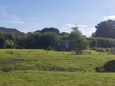 A fenced grassy field with a small gray shed and trees in the background at Cuckoo's Nest in South Molton