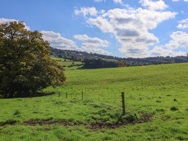 A green grassy field with a large tree and fence posts under a partly cloudy sky at Highgrove Barn in Painswick