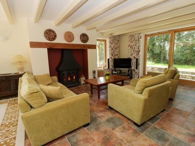 A living room with sofas and a fireplace at Bryn Isaf in Swyddffynnon near Pontrhydfendigaid