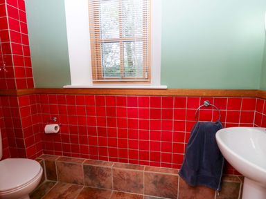 A bathroom with a toilet and sink at Bryn Isaf in Swyddffynnon near Pontrhydfendigaid