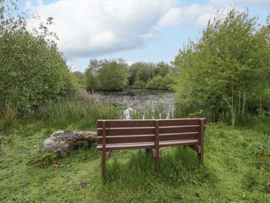 A bench facing a pond surrounded by trees at Bryn Isaf in Swyddffynnon near Pontrhydfendigaid