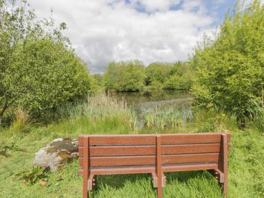 A bench overlooking a pond surrounded by grass and trees at Bryn Isaf in Swyddffynnon near Pontrhydfendigaid