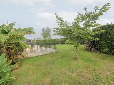 A garden with a tree, lawn, and a fence at Mys Hedra Farm in St Buryan