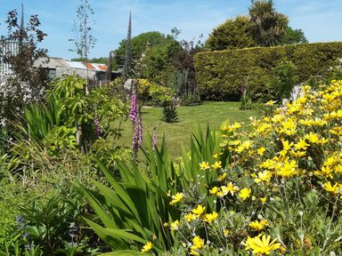 A garden with various flowers and grass at Higher Merther Farm Shepherds Hut in Sithney near Helston