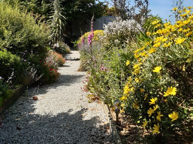 A garden pathway lined with flowers at Higher Merther Farm Shepherds Hut in Sithney near Helston