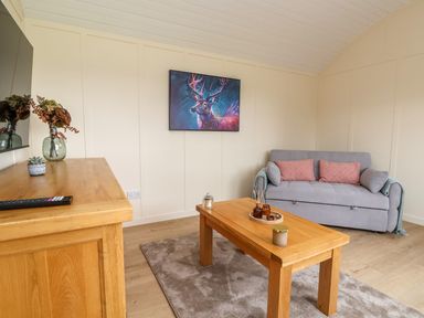 A living room with a gray sofa pink cushions a wooden coffee table a wooden cabinet and a painting of a deer at The View in Bangor-On-Dee