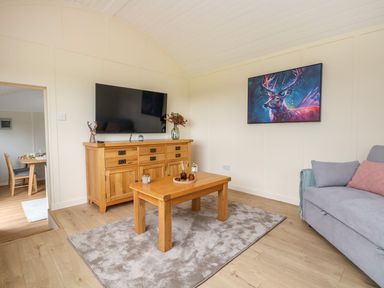 A living room with a wooden TV cabinet TV wooden coffee table sofa and deer painting at The View in Bangor-On-Dee