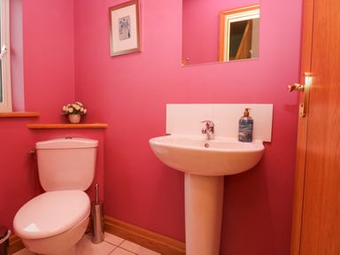 A bathroom with a white toilet and a white pedestal sink with soap on it and a wall mirror above at Blue Hill House in Ambleside