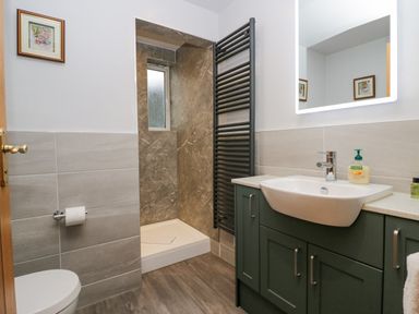 A bathroom with a toilet, shower, sink with cabinet, towel radiator, and a mirror at Blue Hill House in Ambleside