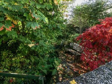 A garden area with a metal bench surrounded by green and red foliage at Blue Hill House in Ambleside