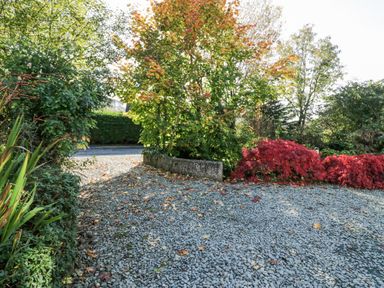 A gravel driveway with trees and shrubs including red and green foliage at Blue Hill House in Ambleside