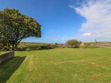 A garden with grass trees and bushes under a blue sky at Gwynlys in Cemaes Bay