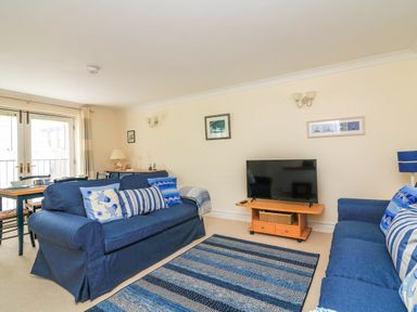 A living room with blue sofas a striped rug a television on a wooden stand and a dining table near the window at 8 Dartmouth House in Dartmouth