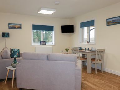 A living room with two sofas a lamp side table a dining table with chairs a wall mounted tv and two windows at Kingfisher Lodge Treverbyn near St Austell