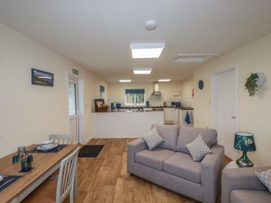 A living room and kitchen area with a grey sofa a dining table and kitchen appliances at Kingfisher Lodge in Treverbyn near St Austell