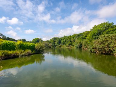 A lake surrounded by greenery and trees under a partly cloudy sky at Maple Lodge in Angarrack