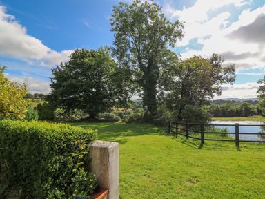 A grassy garden with trees a hedge and a pond enclosed by a fence at The Old Workshop in Dre-Fach near Lampeter