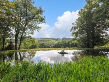 A pond with a small structure in the center surrounded by trees and grass at The Old Workshop in Dre-Fach near Lampeter