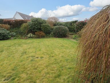 A garden with grass lawn and various bushes and shrubs in front of a house at Elder Cottage Studio in Perranwell Station near Ponsanooth