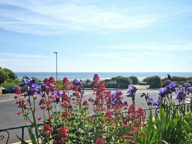A view of red and purple flowers with a road and ocean in the background at Claremount in Alnmouth