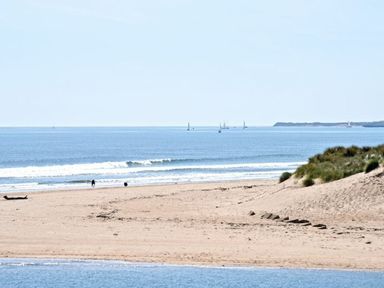 A sandy beach with waves and sailboats on the water near a grassy sand dune at Claremount in Alnmouth