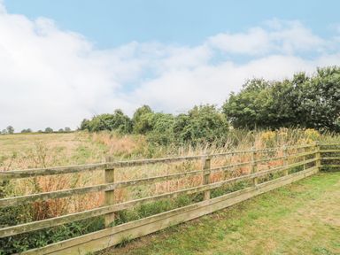 A wooden fence separating grass and overgrown field with bushes under a partly cloudy sky at Orchard Leigh in North Petherton