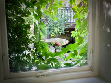 A view through a window showing green leaves outside with a stone bridge and a tree beyond at Windrush in Burford