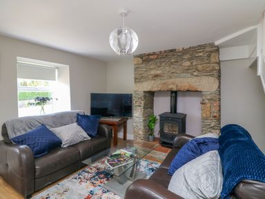 A living room with two leather sofas a glass coffee table a stone fireplace and a television at An Teach Ban in Bunclody County Wexford