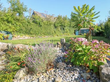 A garden with plants and flowers a pebbled area a tree a lawn and a small stone shed at An Teach Ban in Bunclody County Wexford
