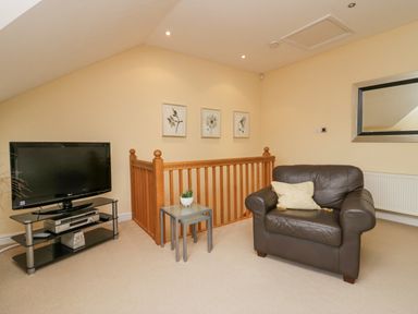 A sitting area with a brown leather armchair a cushion a small glass table with a plant a TV on a black stand and three framed flower pictures on the wall at Ramblers Lodge in Bowland Bridge near Bowness-On-Windermere Lake District