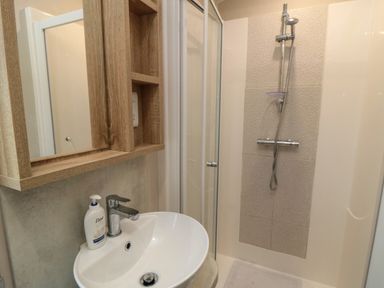 A bathroom with a white sink a wooden mirror cabinet and a shower area at Finch 65 in Cayton Bay