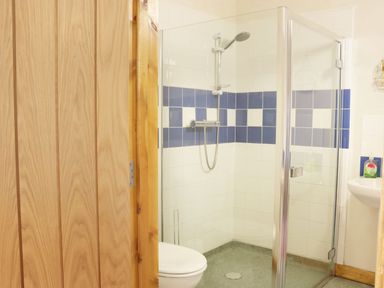 A bathroom with a glass enclosed shower, a toilet, and a small sink at Woodside Cottage in Kerry