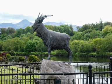 A bronze statue of a goat standing on a rock near a river with trees and mountains in the background at Knockbrack in Lonart near Killorglin County Kerry