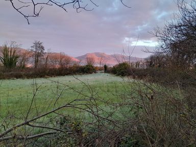 A field with grass and leafless trees with hills in the background at Knockbrack Lonart near Killorglin County Kerry
