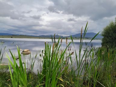 A lake with tall grass and rocks on its shore with mountains and cloudy sky in the background at Knockbrack in Lonart near Killorglin County Kerry
