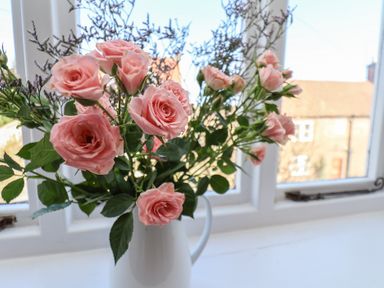 A vase with pink roses on a windowsill with a view of houses outside at Field View in Ruswarp