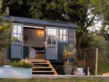 A small cabin with open double doors showing a seating area inside surrounded by plants and trees at Moonshine St Erme near Truro
