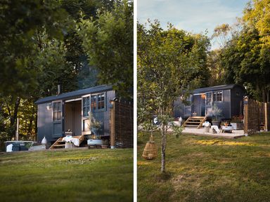 A small dark cabin with steps and outdoor fire pit in a grassy garden with trees at Moonshine in St Erme near Truro