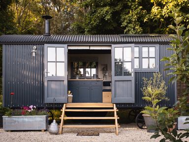 A small mobile cabin with open double doors showing a kitchenette surrounded by plants and trees at Moonshine in St Erme near Truro