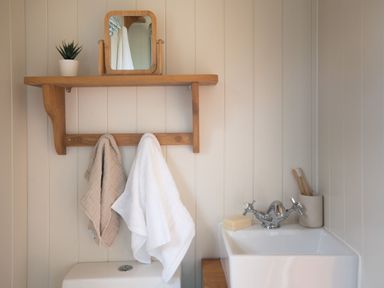 A small bathroom corner with a white sink, chrome faucet, toothbrush holder with toothbrush, bar of soap, two towels hanging on a wooden rack, small mirror and potted plant on a wooden shelf at Stargazer in St Erme near Truro