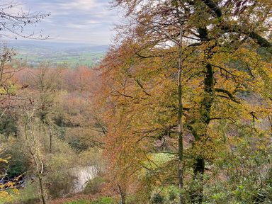 A landscape with trees in autumn colors and a valley with fields visible in the distance at The Wheelhouse Beacon near Yarcombe