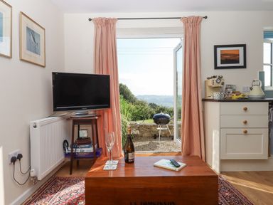 A room with a television on a stand holding board games next to a door with pink curtains leading outside to a garden with a barbecue and countryside views at The Wheelhouse Beacon near Yarcombe
