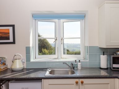 A kitchen sink under a window with soap bottles a kettle paper towels and a microwave at The Wheelhouse Beacon near Yarcombe