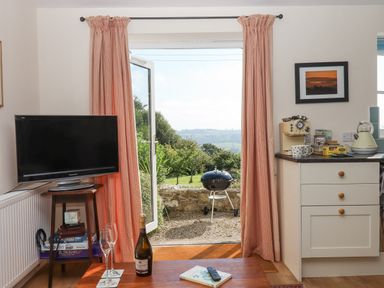 A living room with a television on a stand and an open door leading to a garden with a barbecue at The Wheelhouse Beacon near Yarcombe